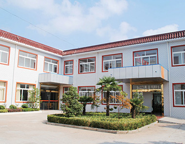 Jiangsu Starlight Generating Equipment Co. Ltd